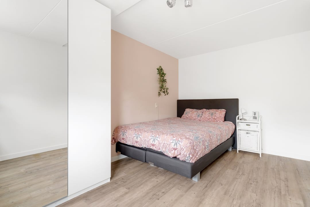 Photo 31 of Engelwortel 11