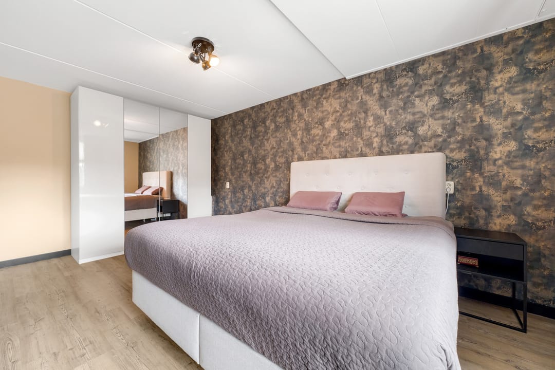 Photo 23 of Engelwortel 11