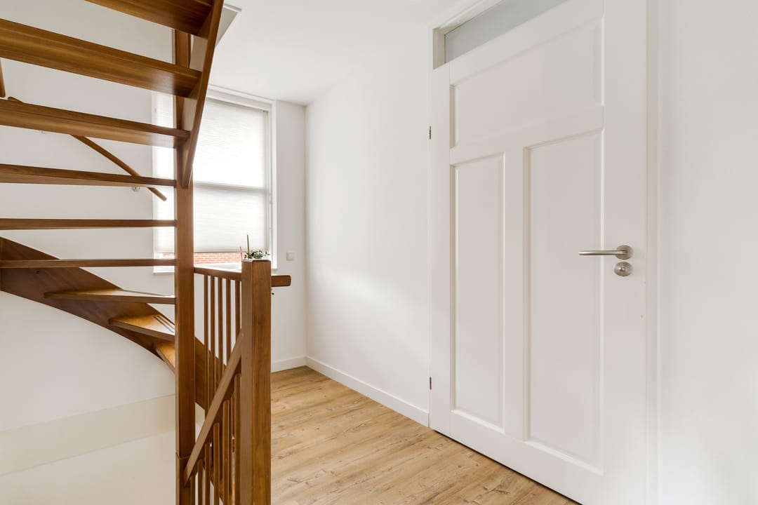 Photo 32 of Engelwortel 11