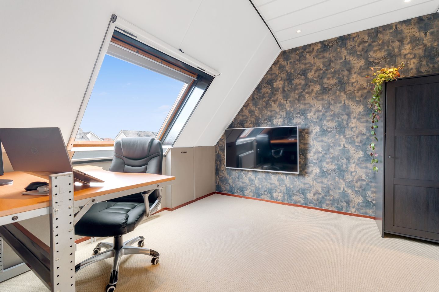 Photo 34 of Engelwortel 11