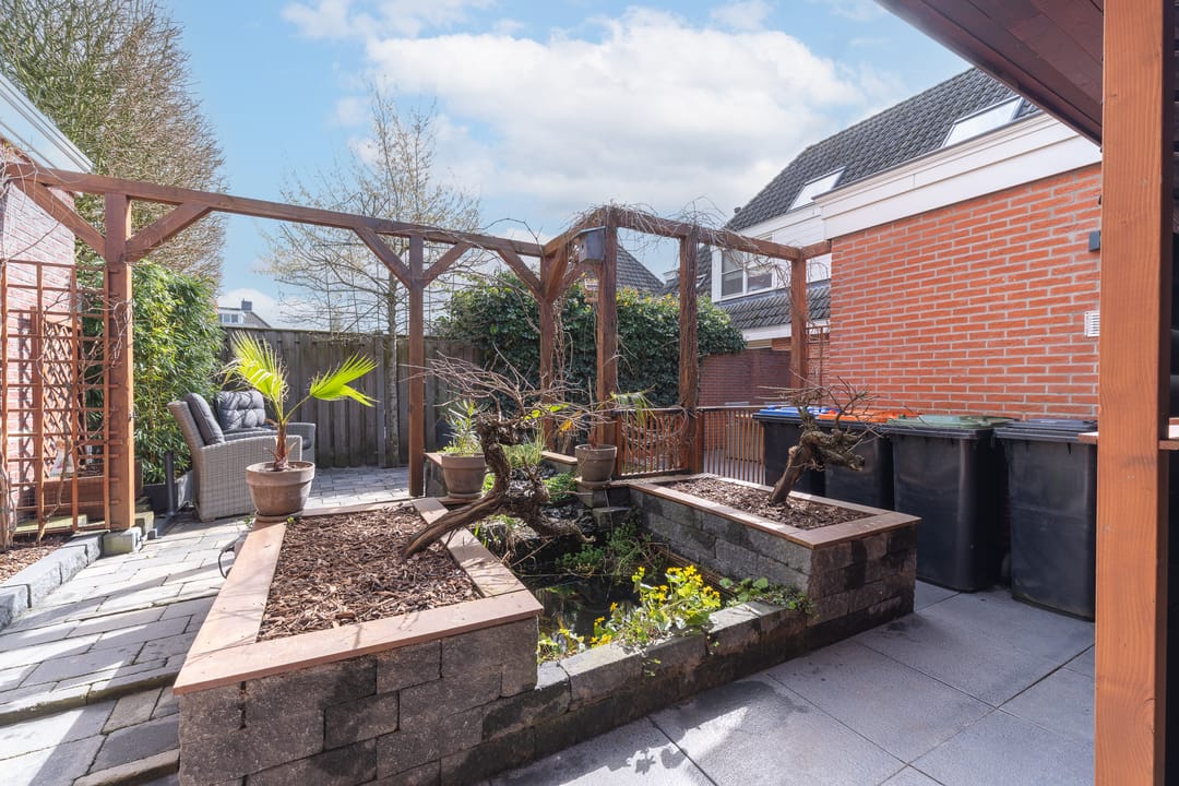 Photo 38 of Engelwortel 11