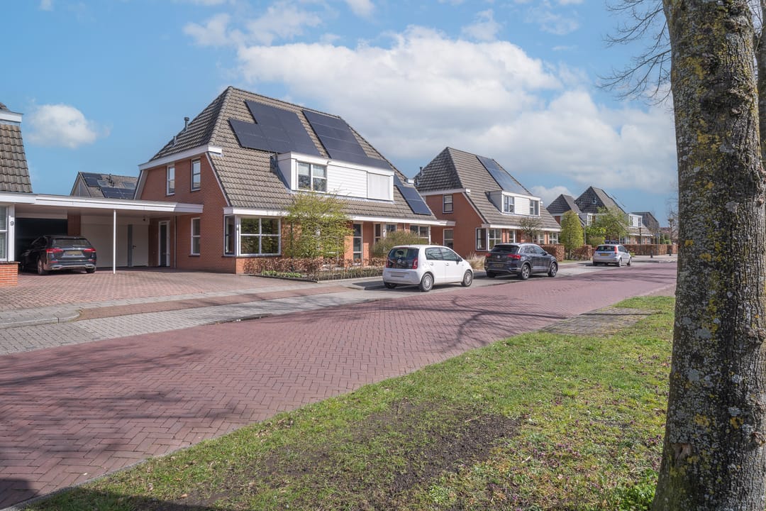 Photo 46 of Engelwortel 11