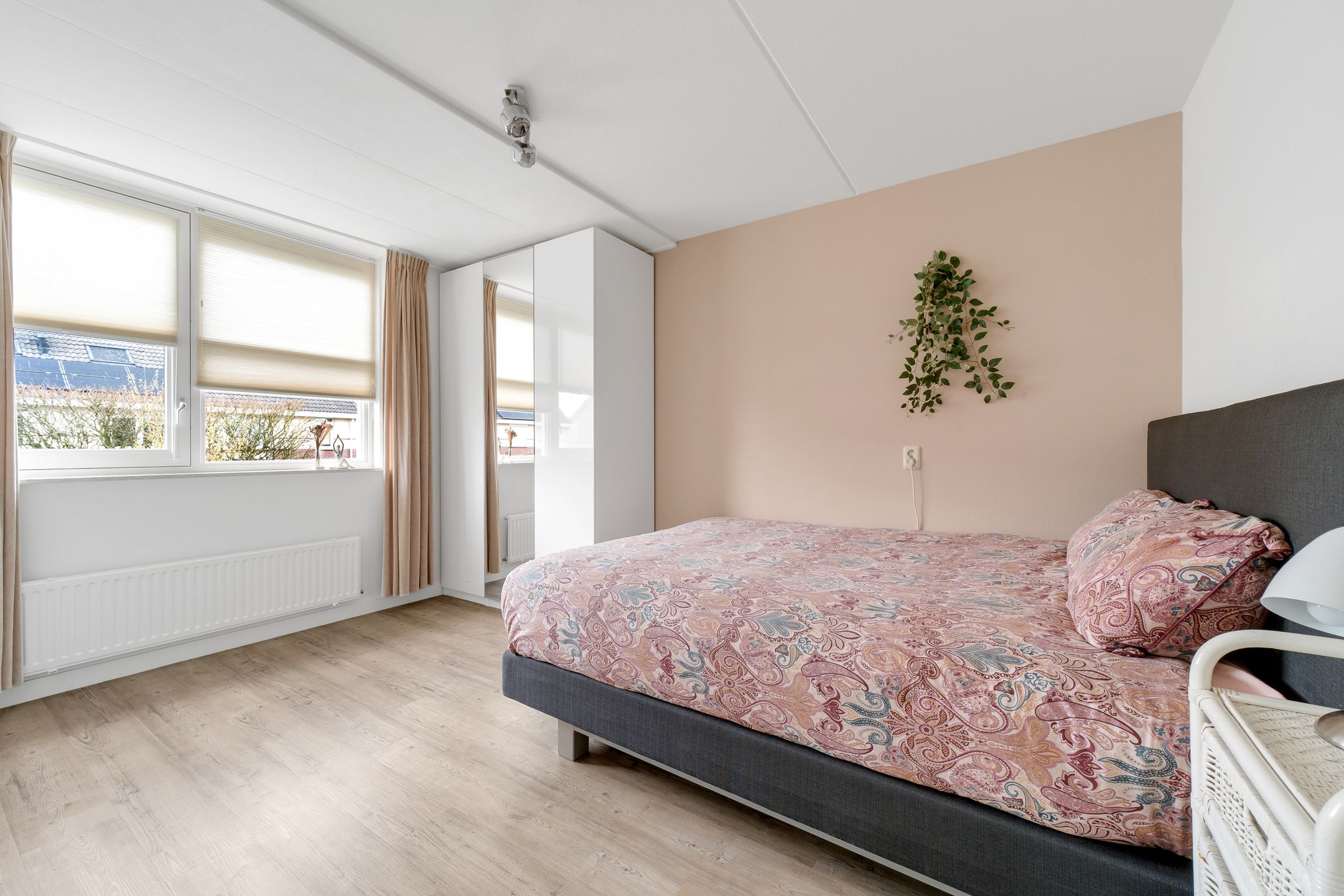 Photo 30 of Engelwortel 11