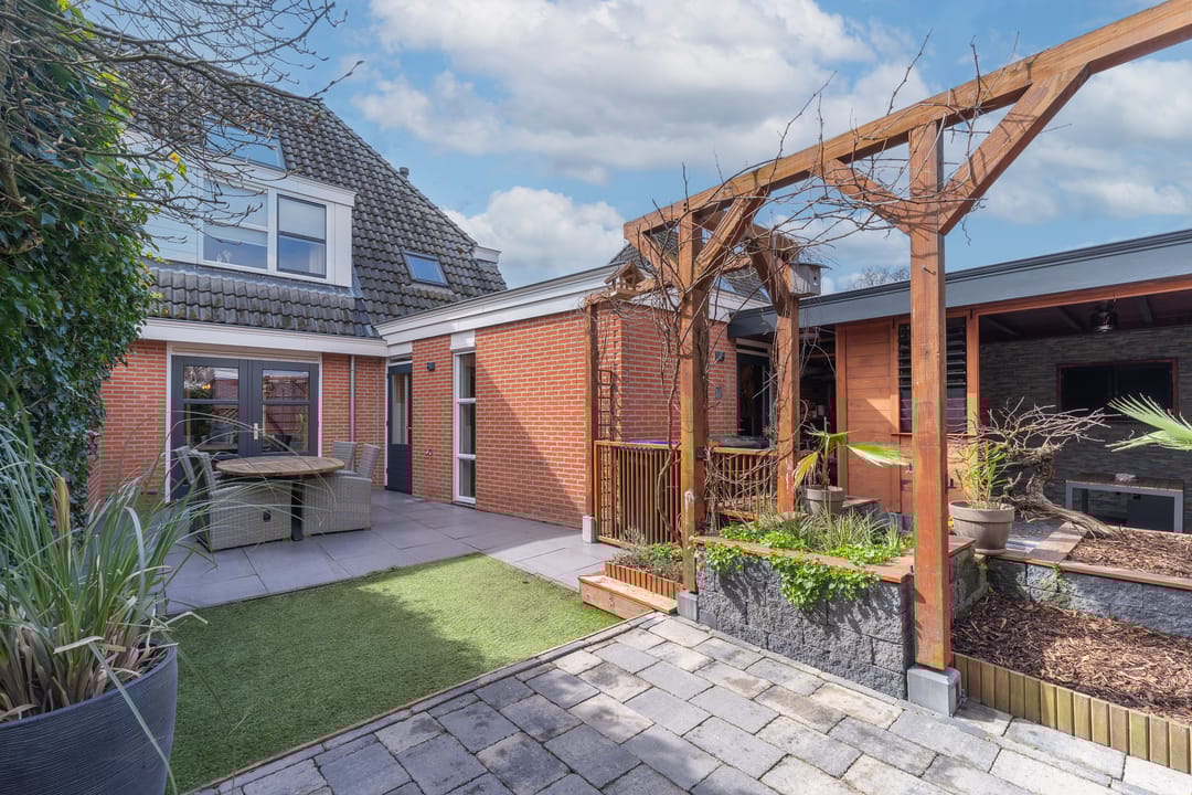 Photo 37 of Engelwortel 11