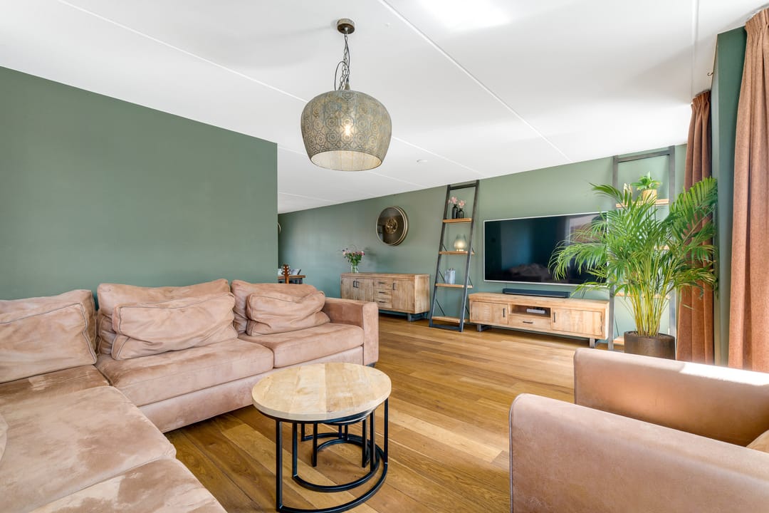 Photo 7 of Engelwortel 11