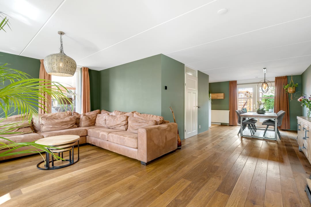 Photo 8 of Engelwortel 11