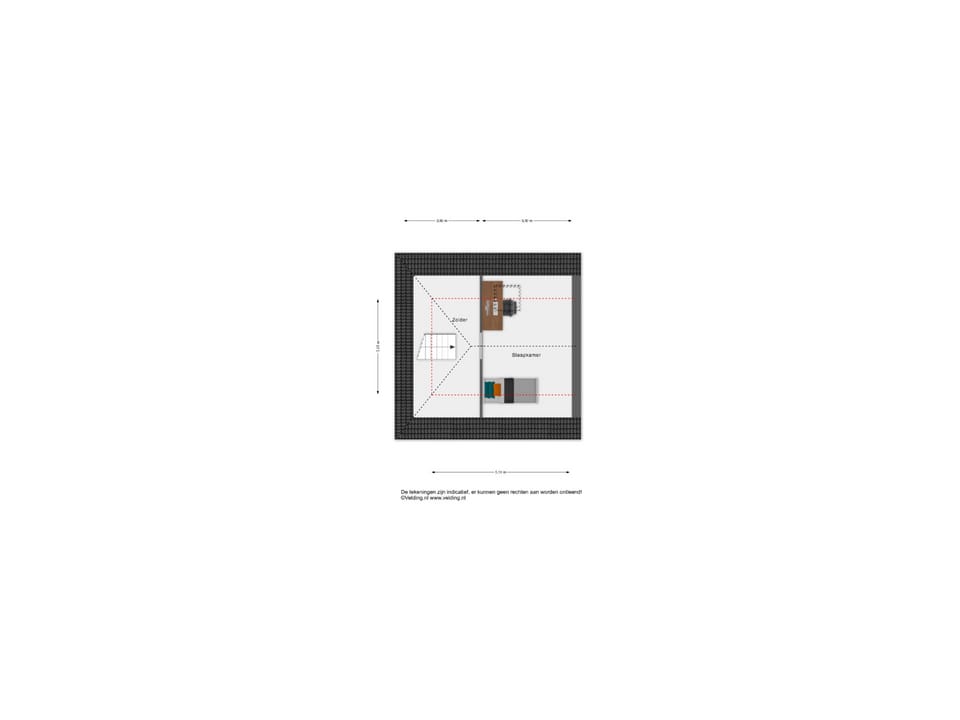 Photo 50 of Engelwortel 11