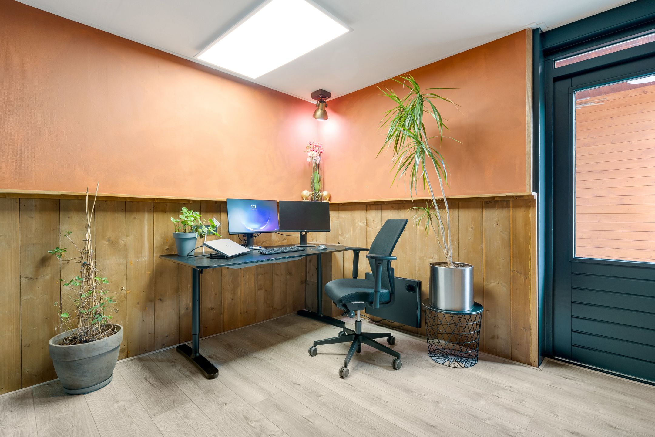 Photo 18 of Engelwortel 11