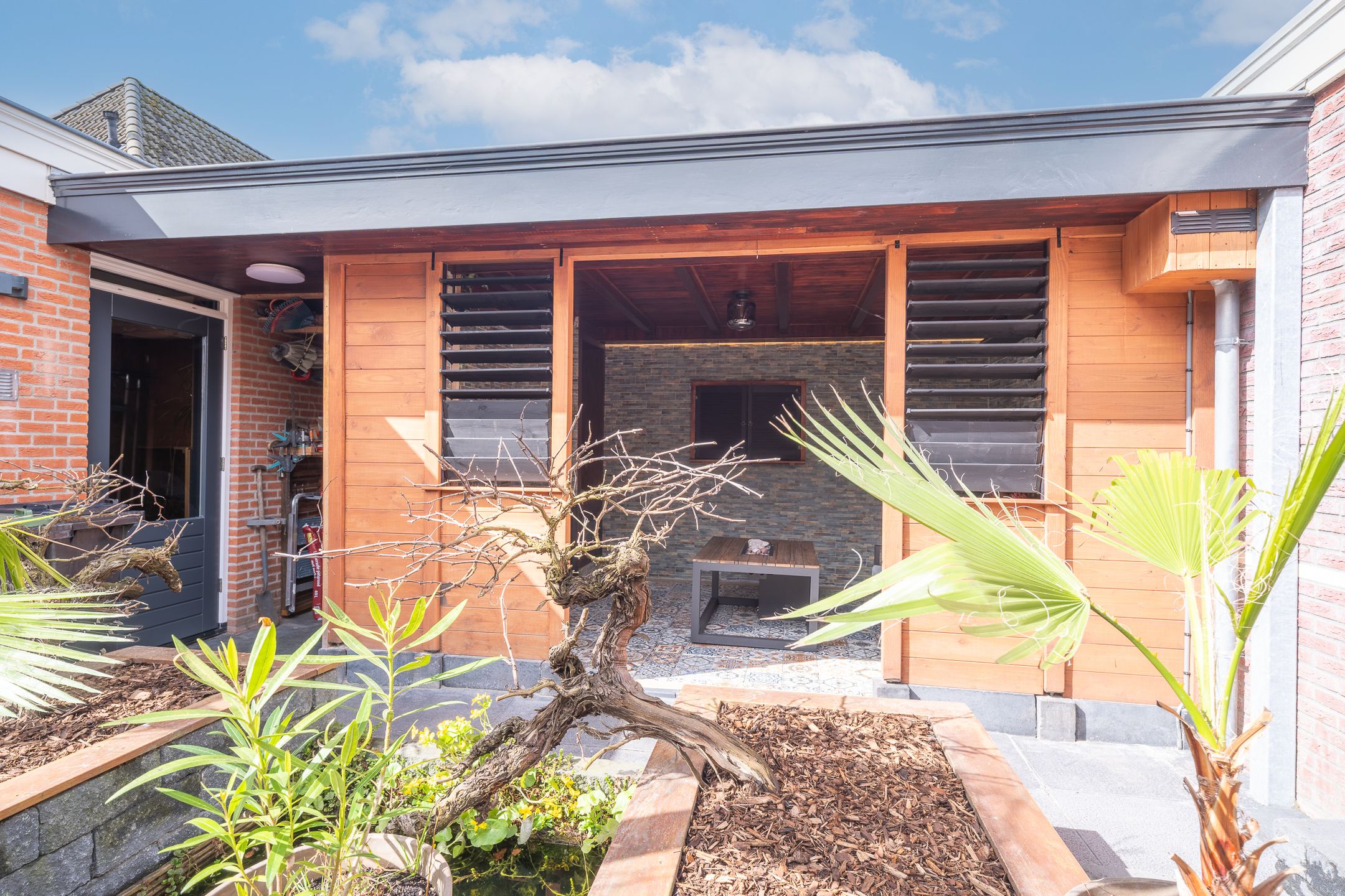 Photo 39 of Engelwortel 11