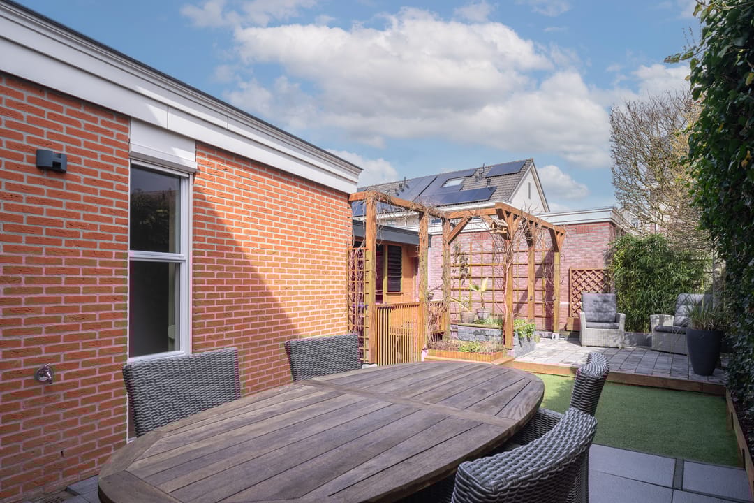 Photo 43 of Engelwortel 11