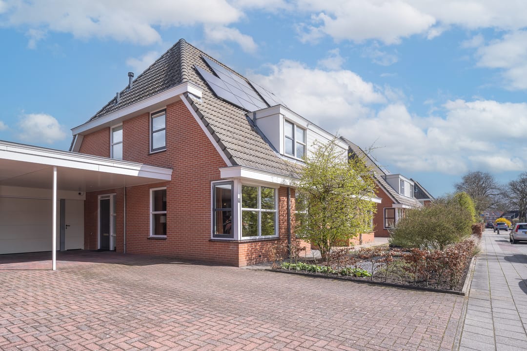 Photo 47 of Engelwortel 11