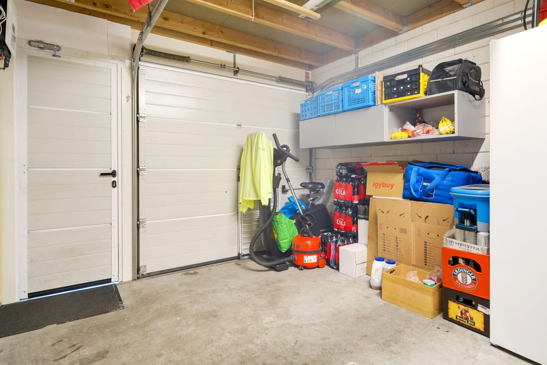 Photo 17 of Engelwortel 11