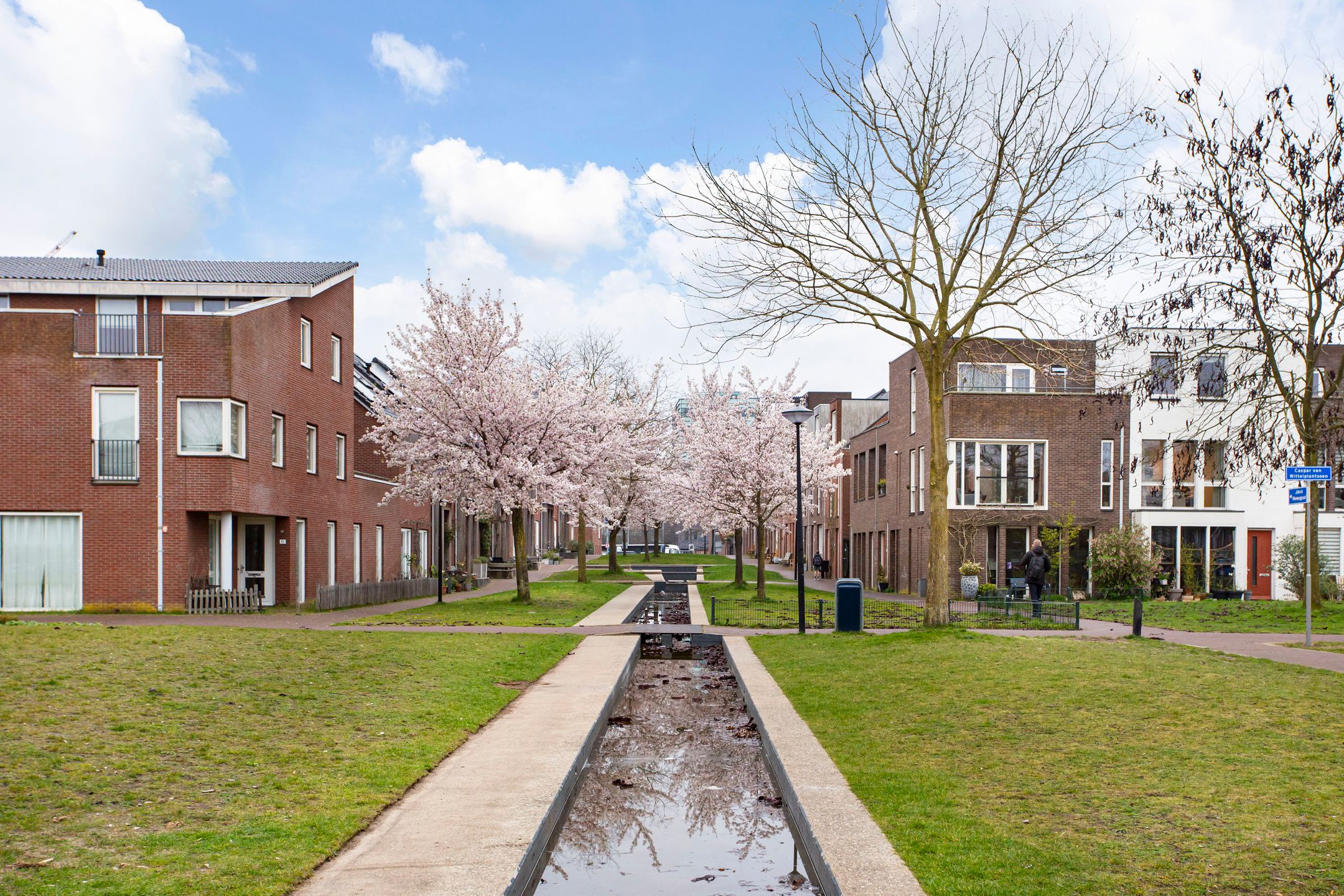 Photo 39 of Albert Fikspad 26