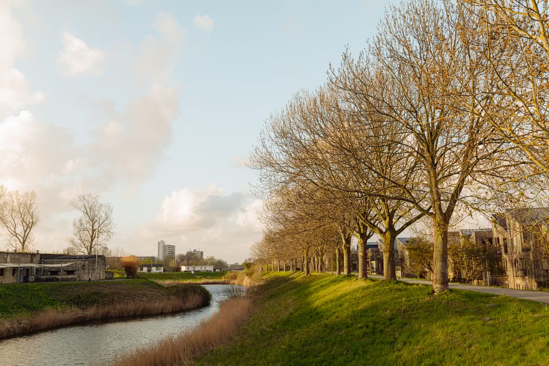 Photo 37 of Spieringhof 18