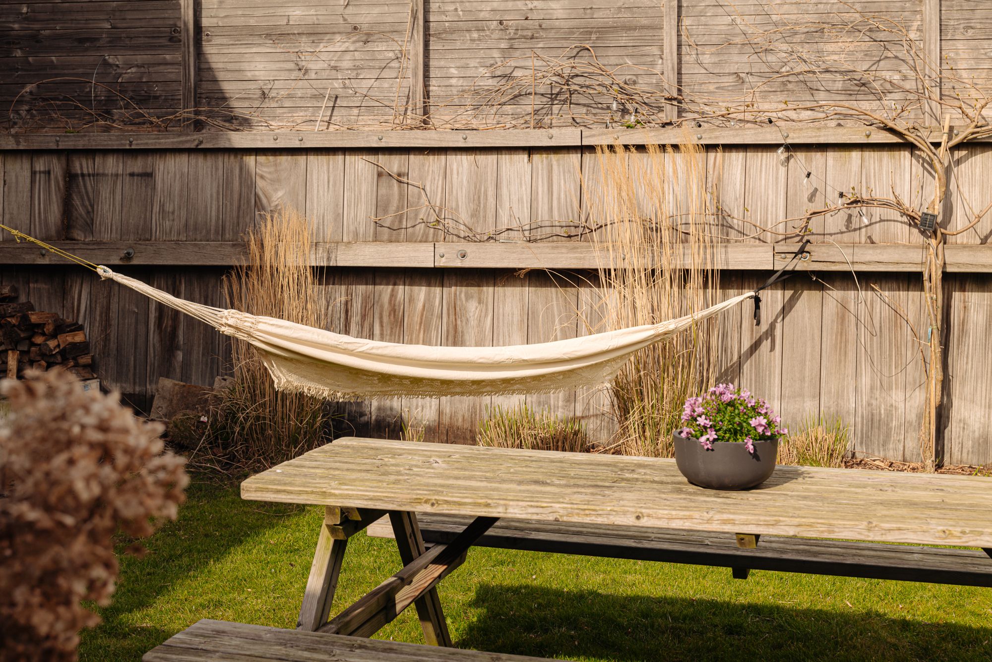 Photo 15 of Spieringhof 18