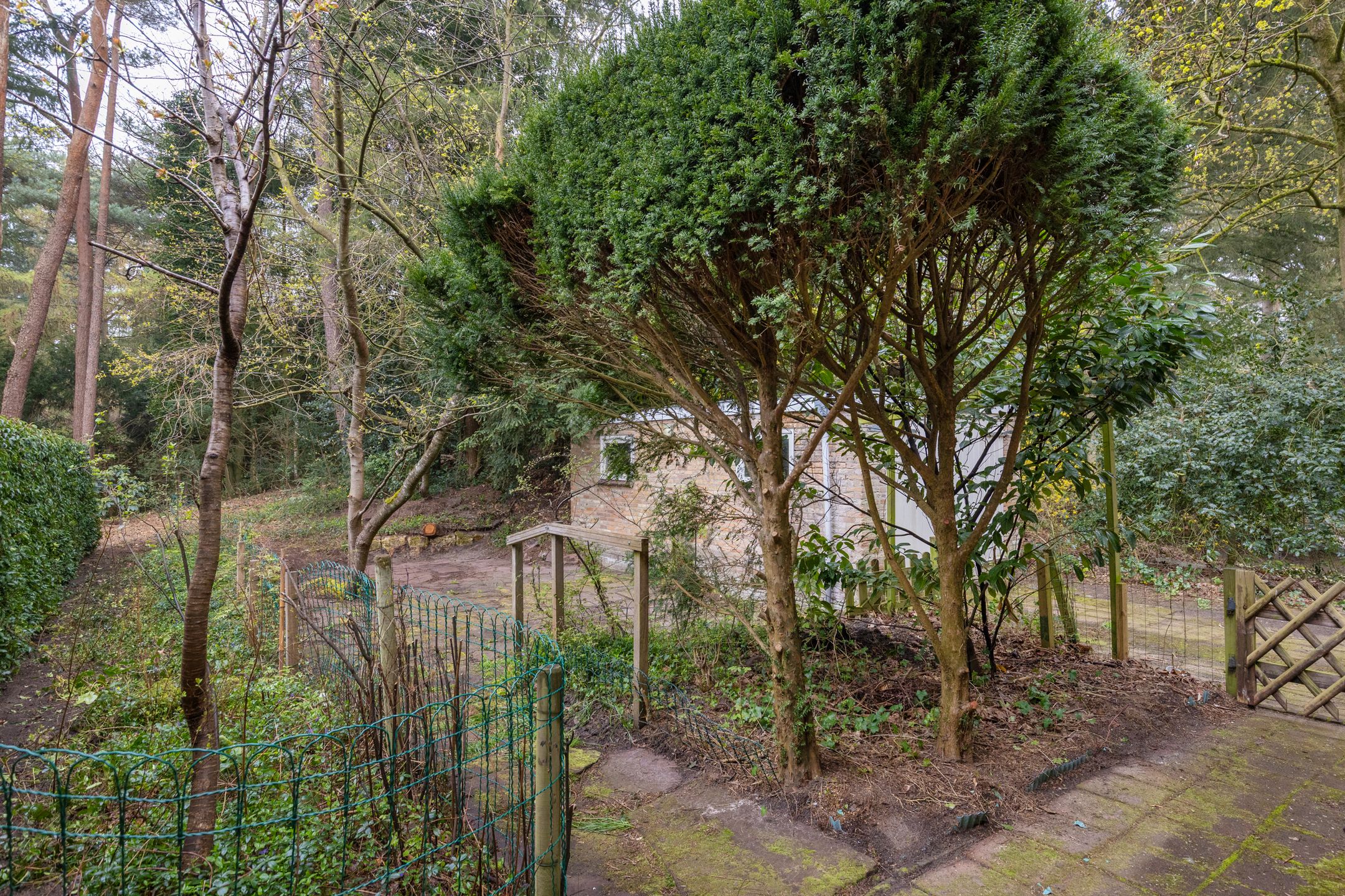 Foto 27 van Ockeghemlaan 23