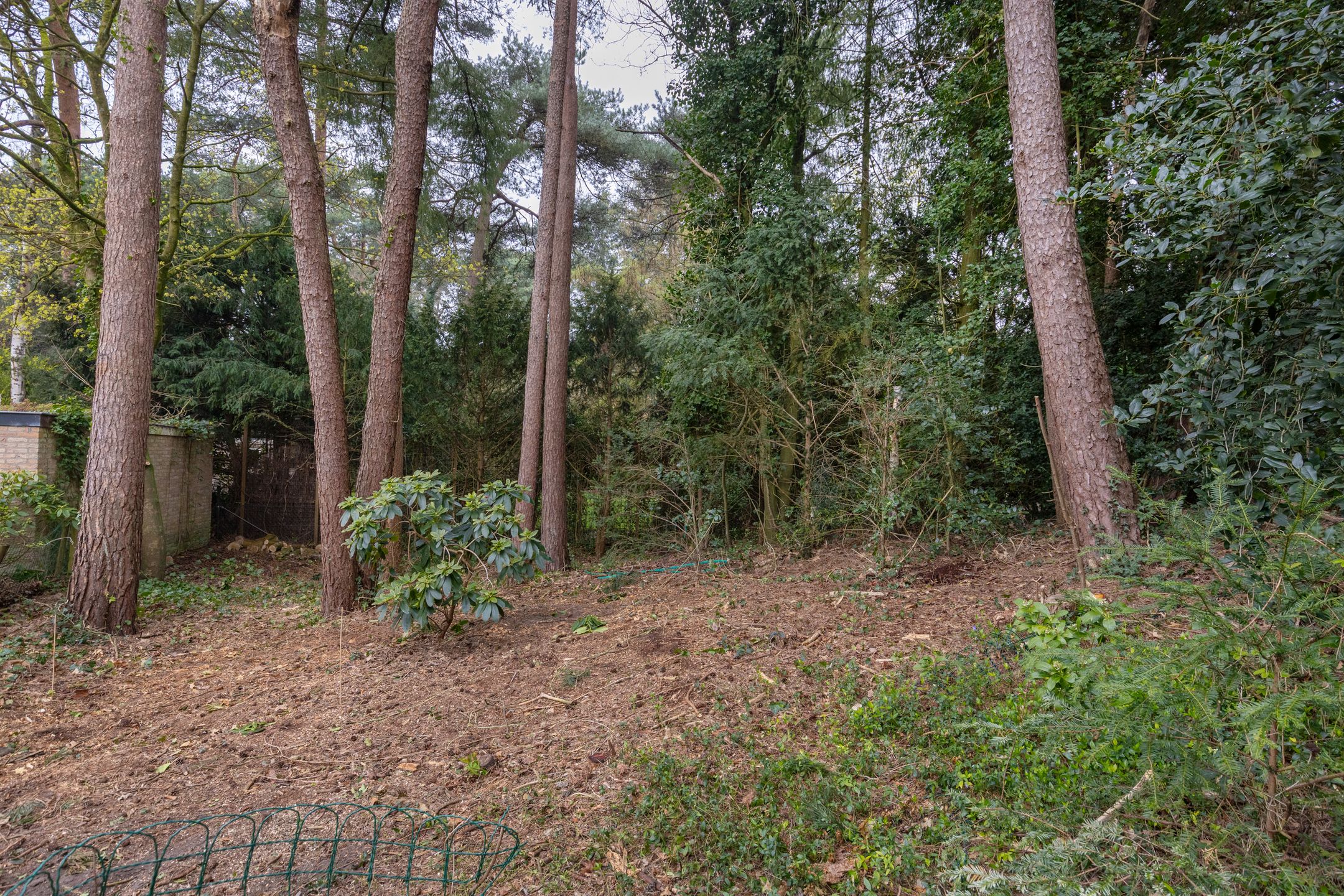 Foto 30 van Ockeghemlaan 23