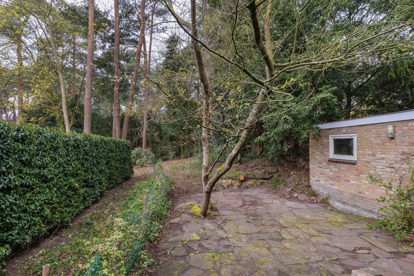 Foto 29 van Ockeghemlaan 23