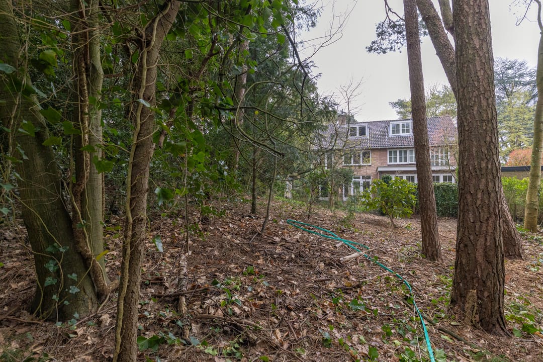 Foto 31 van Ockeghemlaan 23