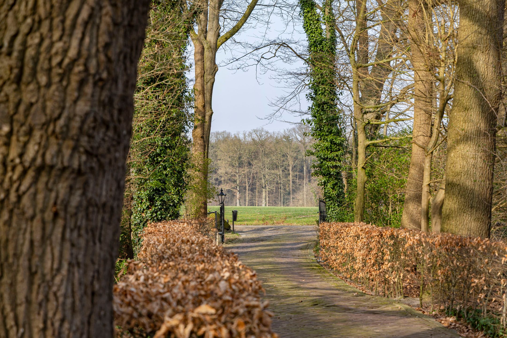 Photo 6 of Lubberdinksweg 15