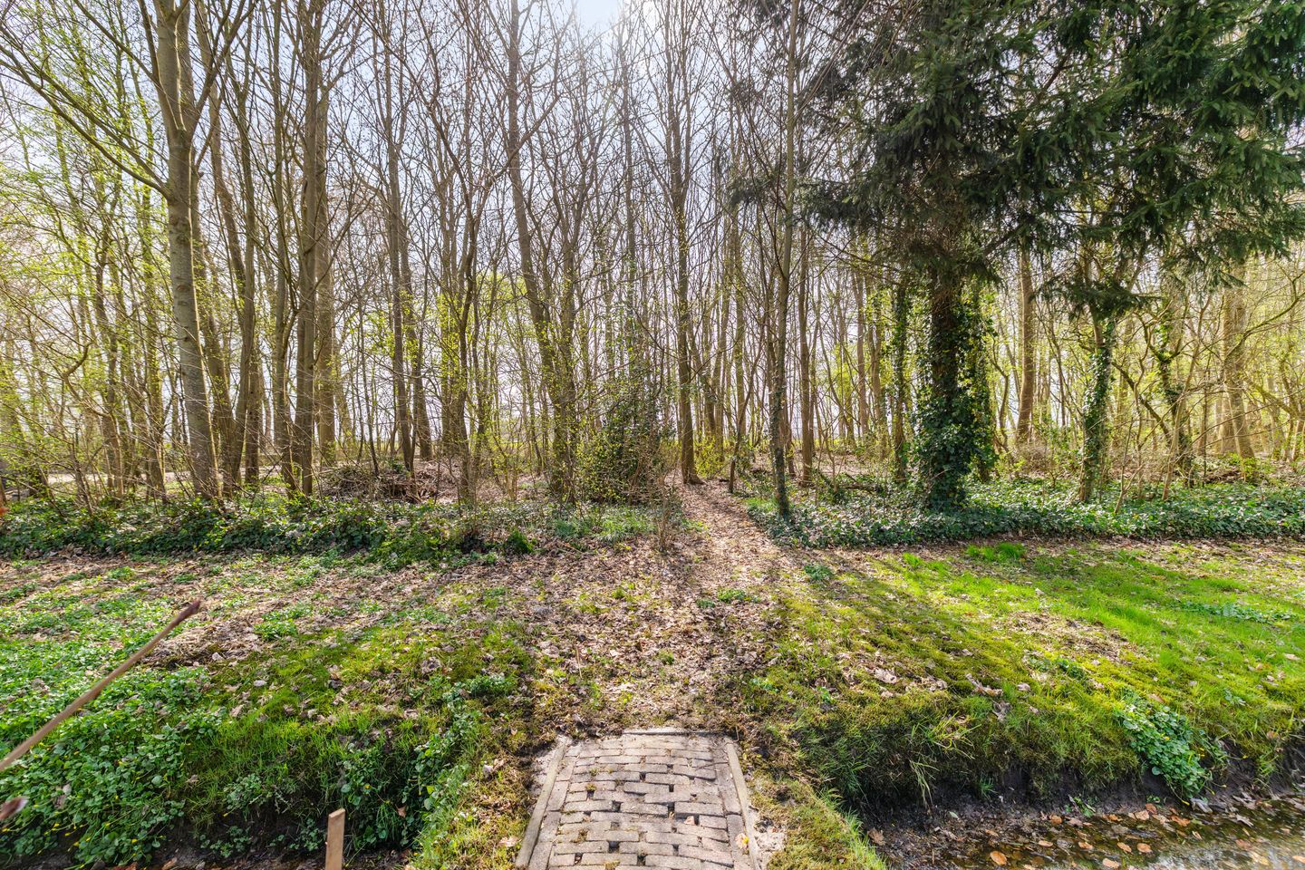 Photo 55 of Hoofdweg 73