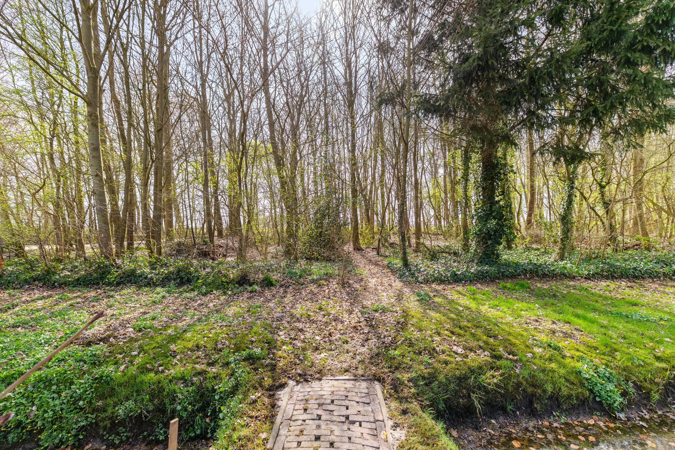 Foto 54 van Hoofdweg 73