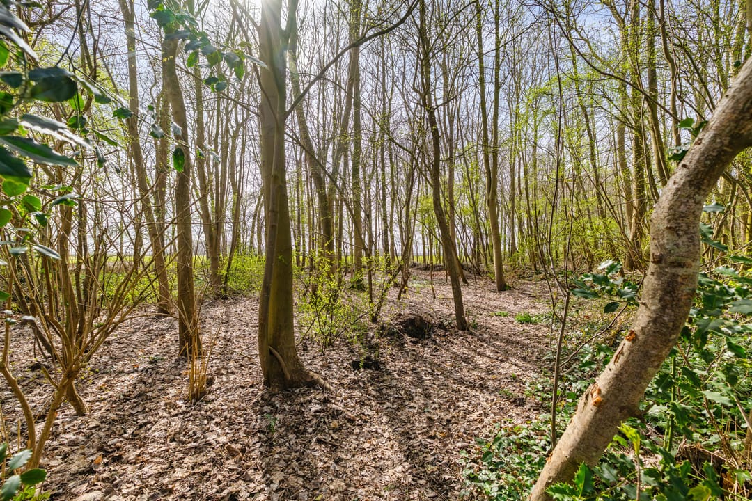 Photo 56 of Hoofdweg 73