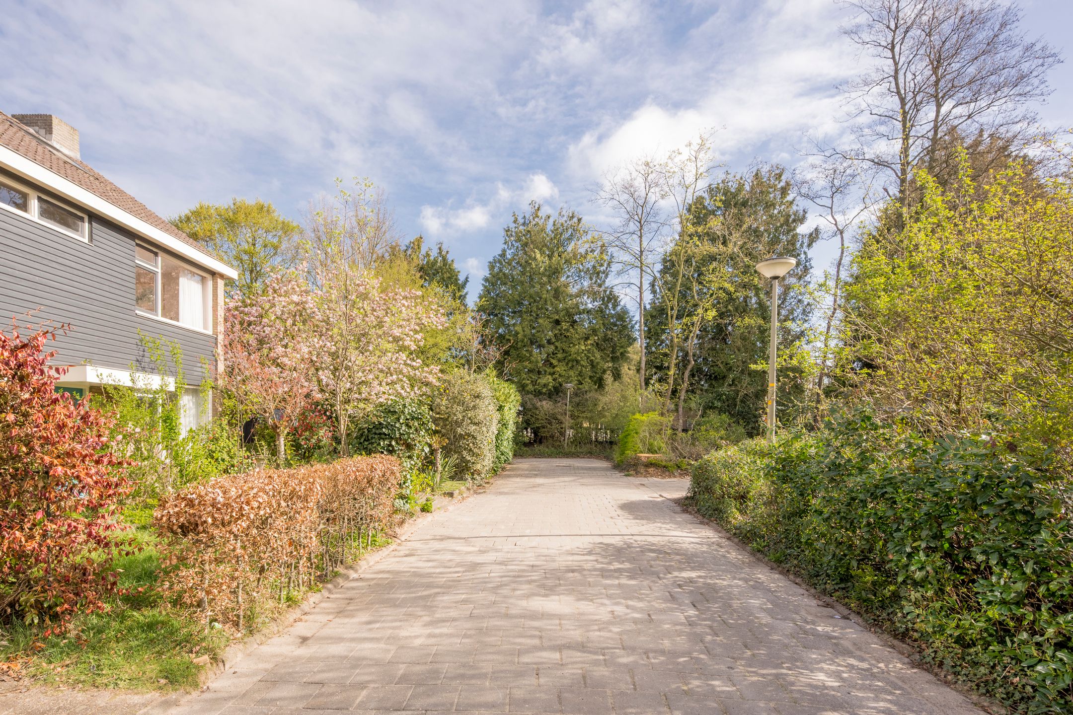 Foto 42 van Van Oldenbarneveltstraat 18