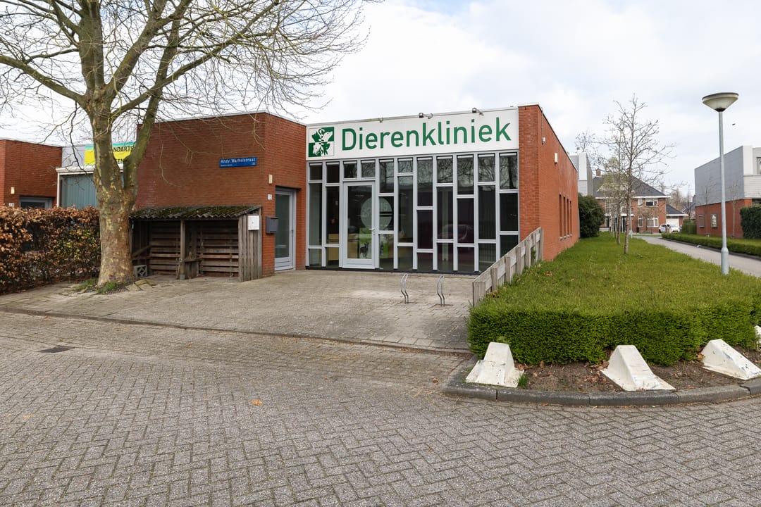 Foto 2 van Chagallweg 74