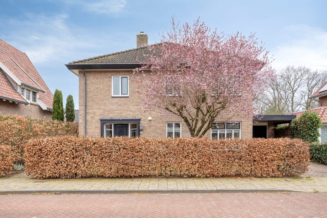 A rental house advertisment