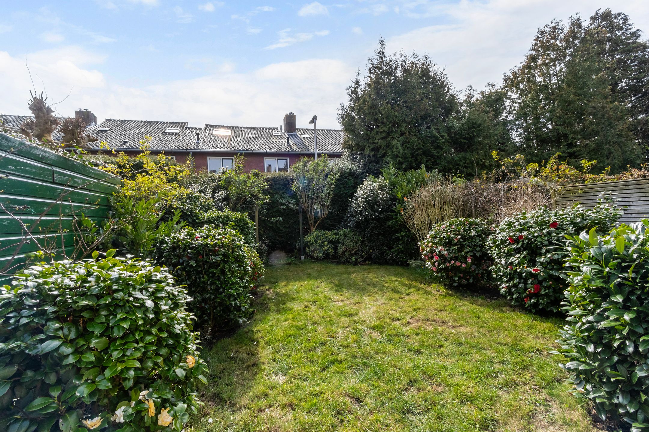 Foto 21 van Top Naefflaan 31