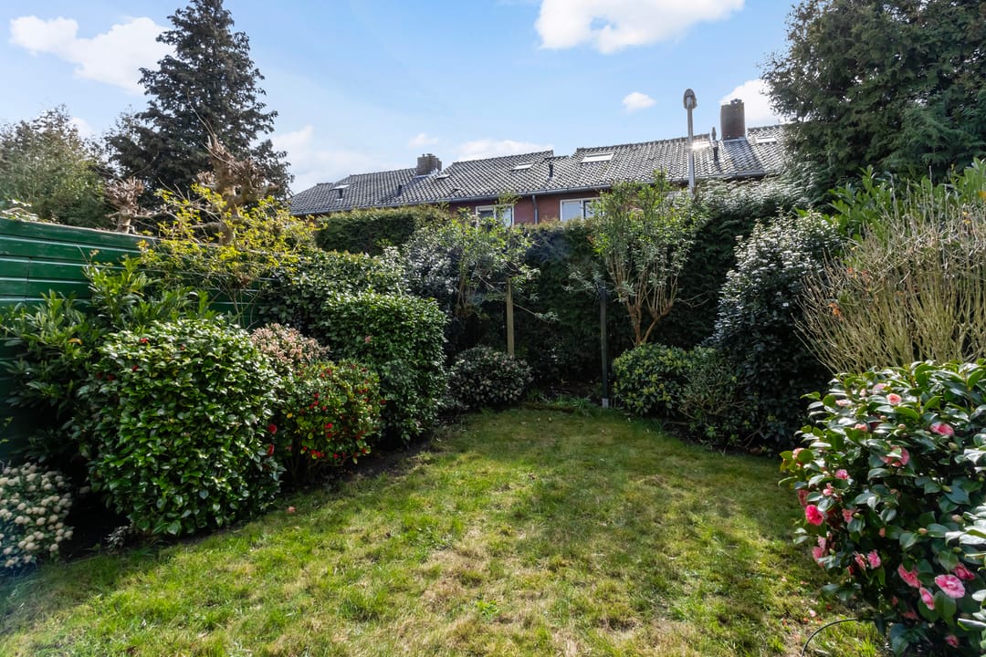 Foto 22 van Top Naefflaan 31