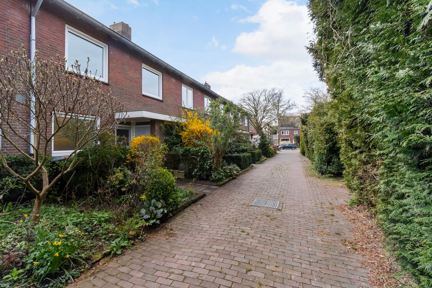 Foto 25 van Top Naefflaan 31