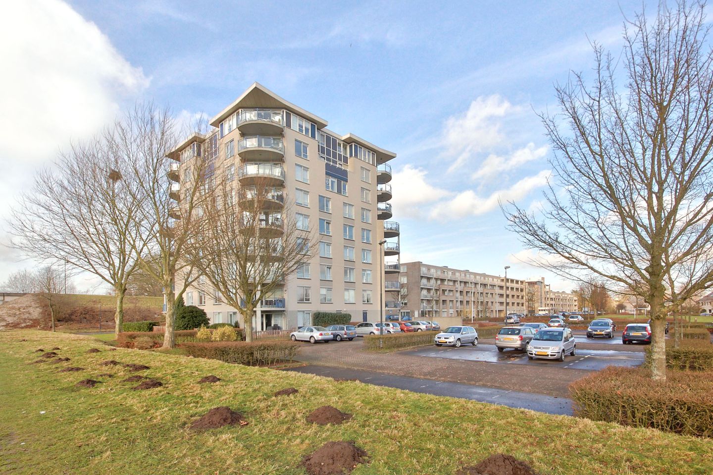 Foto 1 van Houtwolplantsoen 218