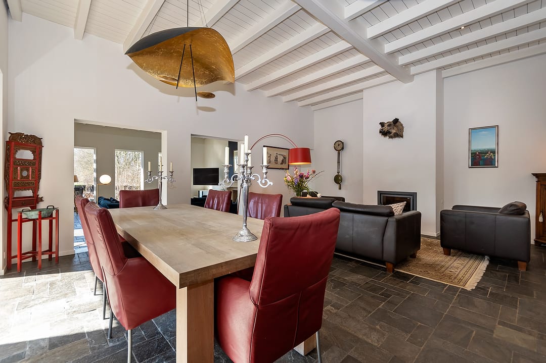 Spacious Thatched Villa Adjacent to Nature Reserve De Elshof — 13