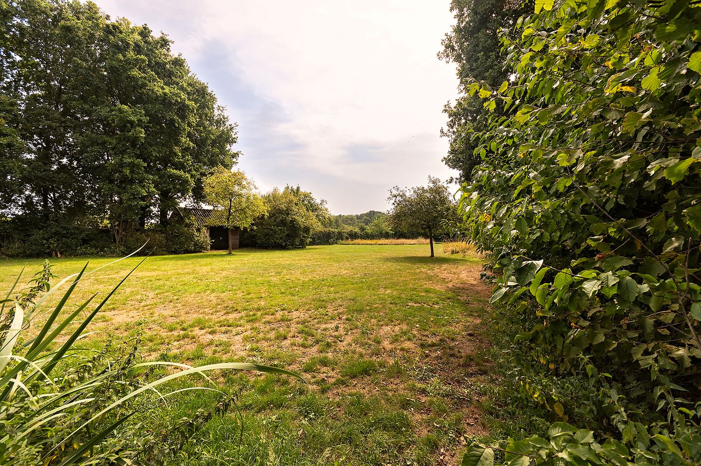 Spacious Thatched Villa Adjacent to Nature Reserve De Elshof — 74