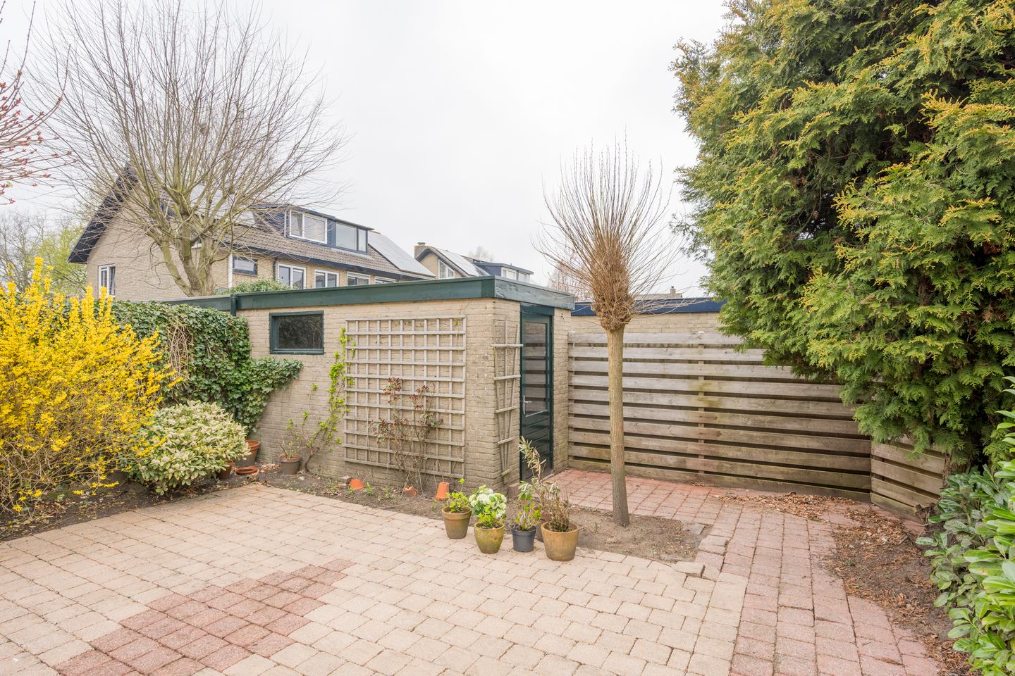 Photo 29 of Viltroos 10