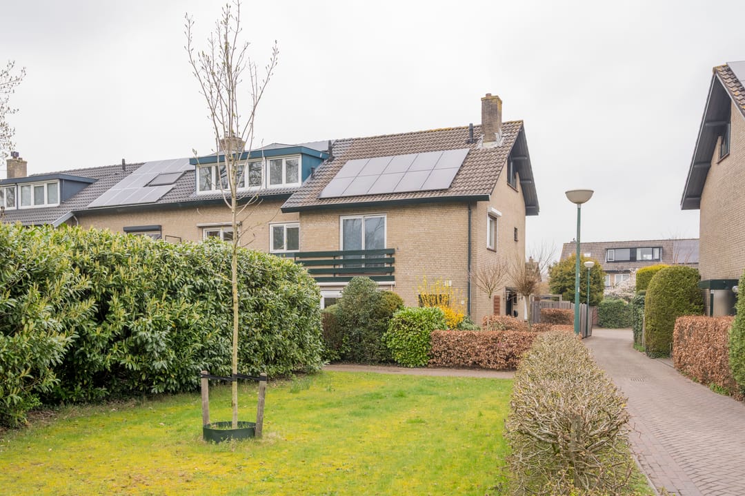 Photo 31 of Viltroos 10