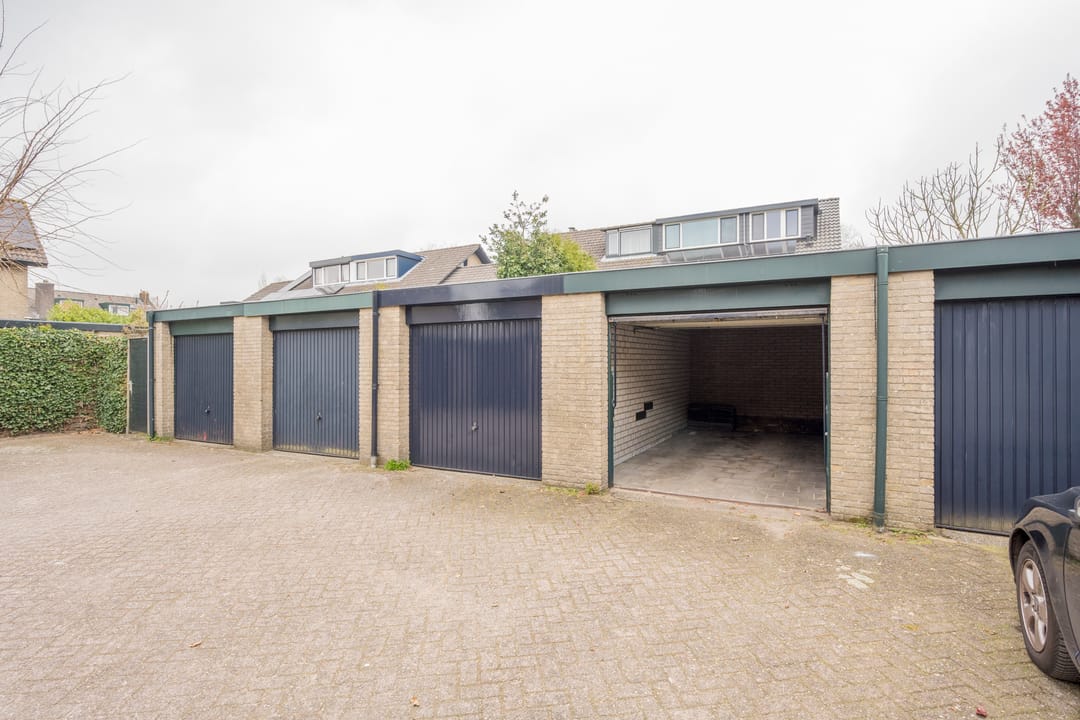 Photo 32 of Viltroos 10