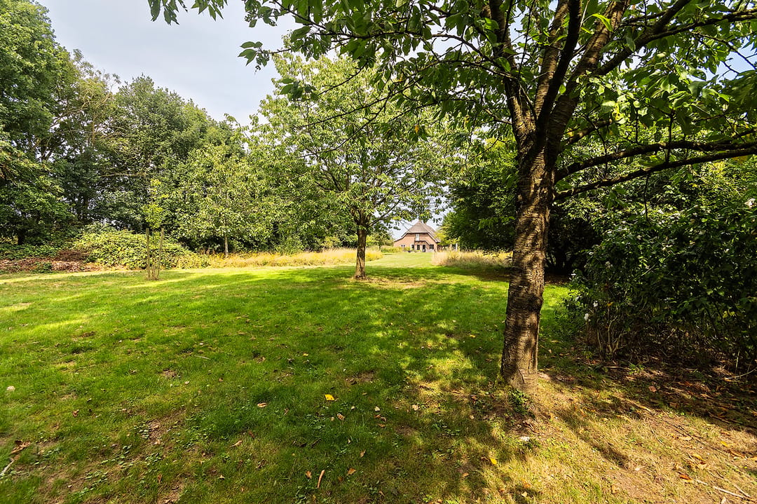 Spacious Thatched Villa Adjacent to Nature Reserve De Elshof — 77