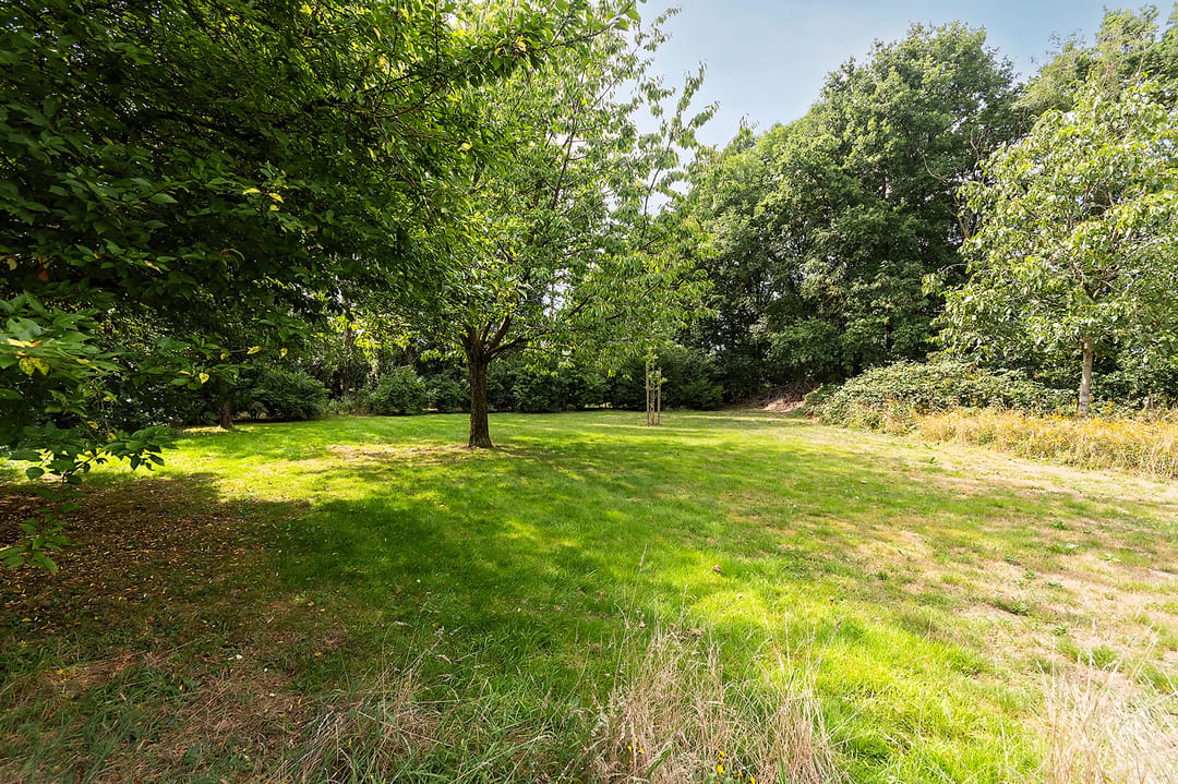 Spacious Thatched Villa Adjacent to Nature Reserve De Elshof — 76