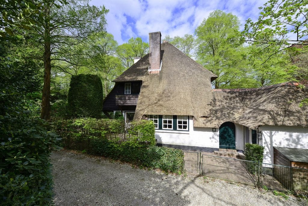 Foto 4 van Torenlaan 59