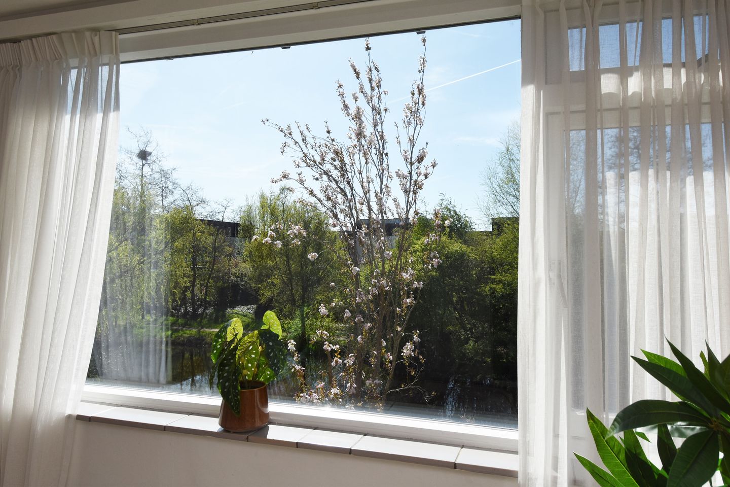 Bright and spacious family home with garden and waterfront views in sought-after Delft neighborhood — 29