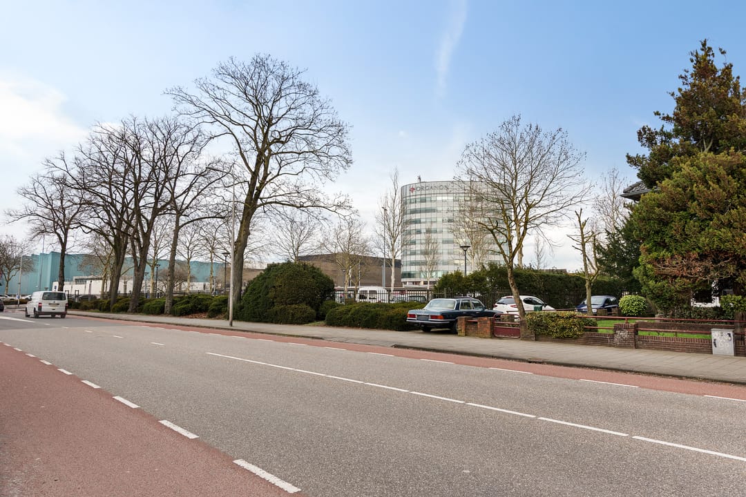 Foto 43 van Molenstraat 169