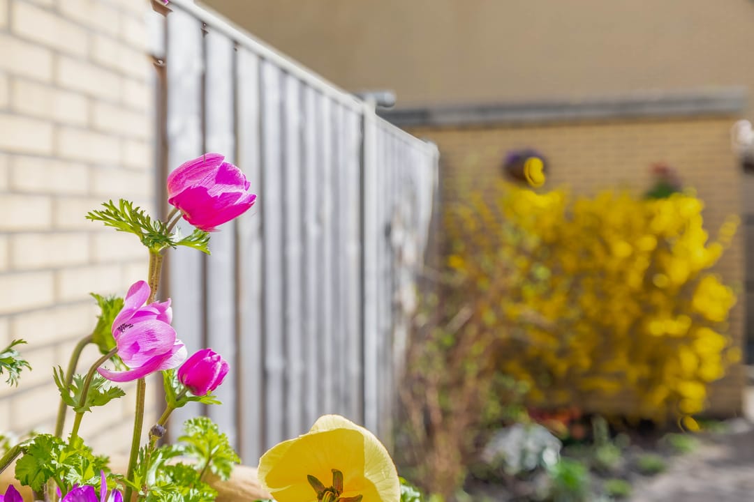 Foto 38 van Ravelstraat 10