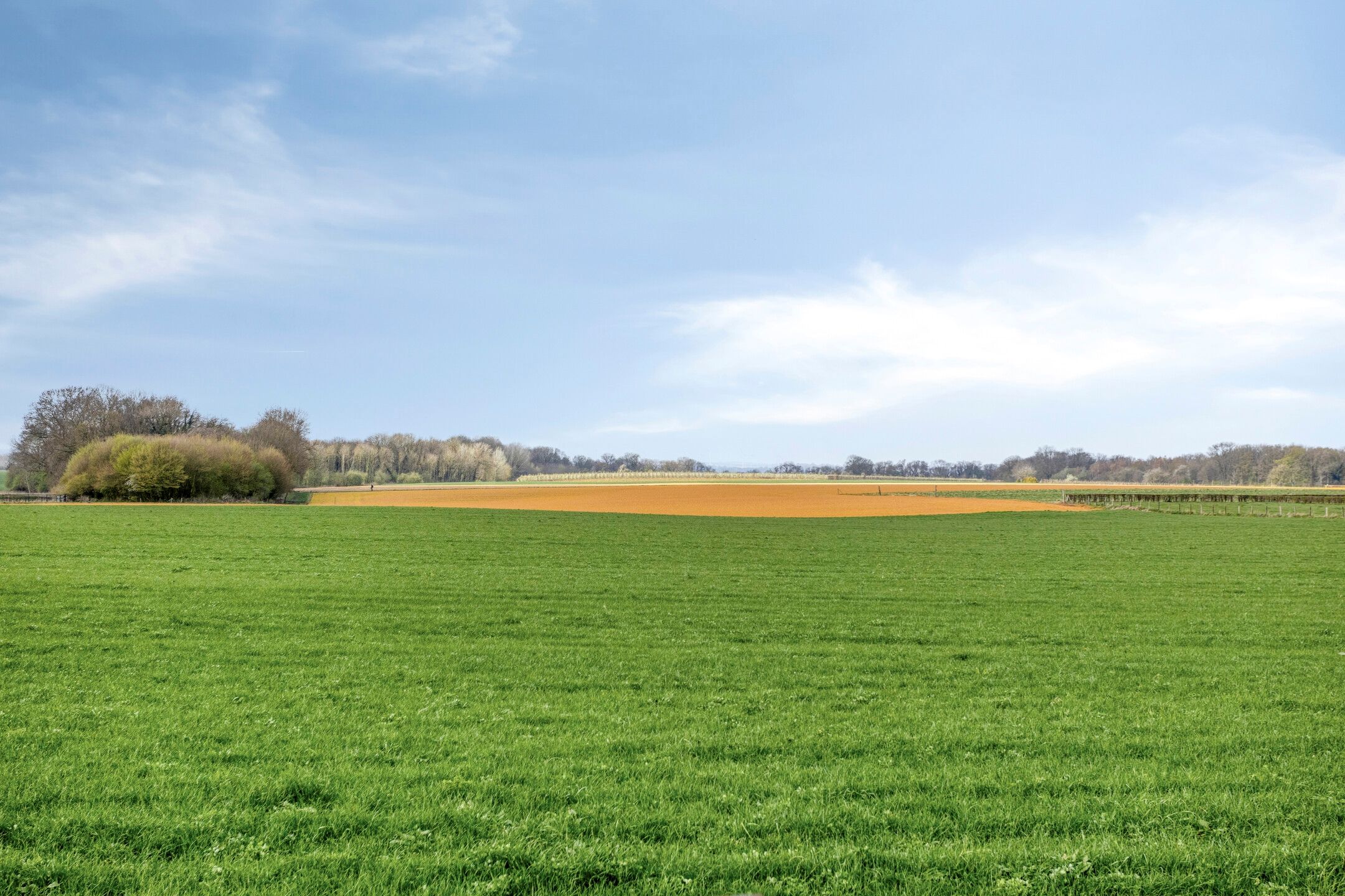 Foto 3 van Molenweg 12