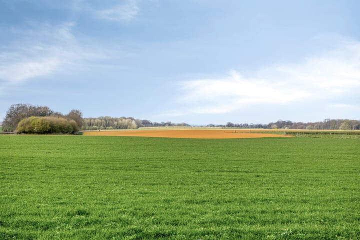 Foto 3 van Molenweg 12