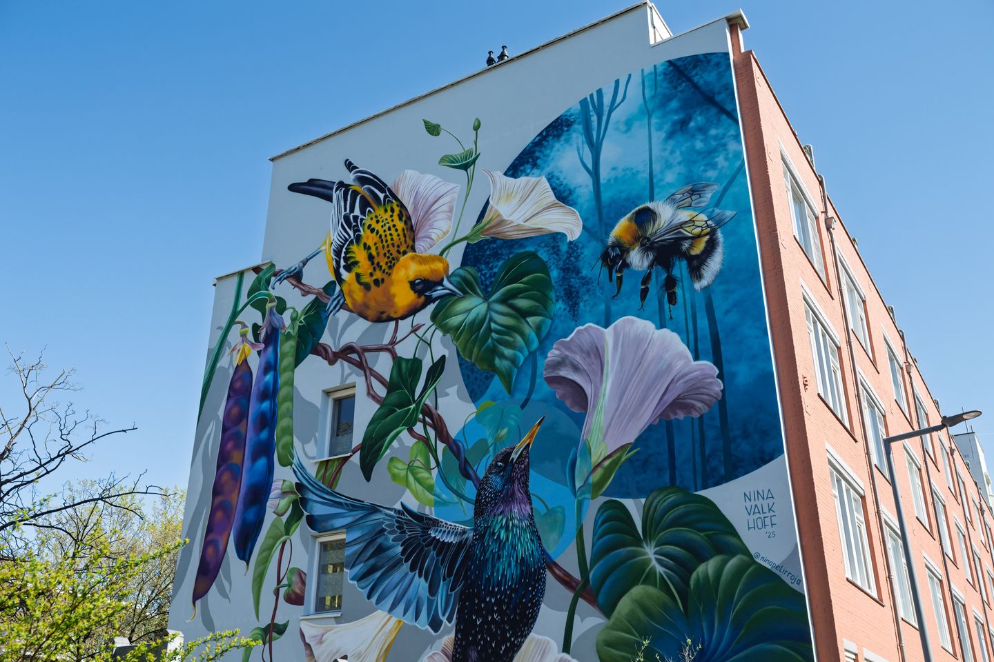 Photo 20 of Van der Sluysstraat 1-B