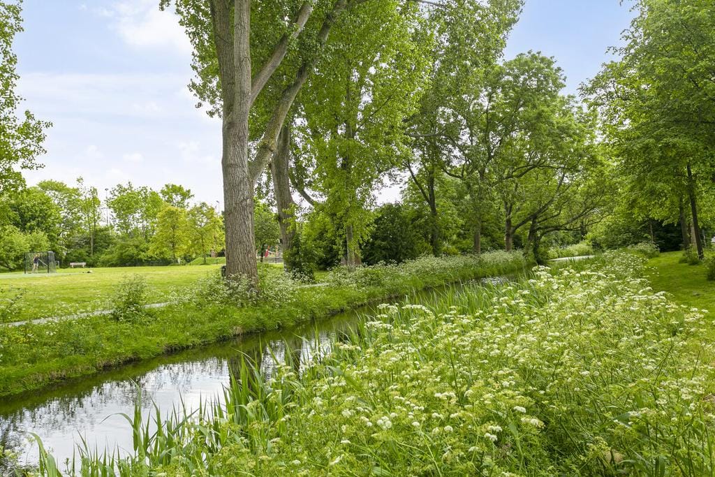 Foto 48 van Scholtenstraat 76