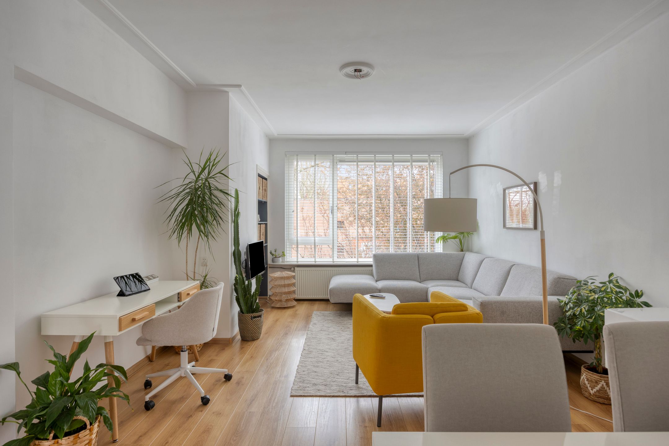 Foto 12 van Scholtenstraat 76